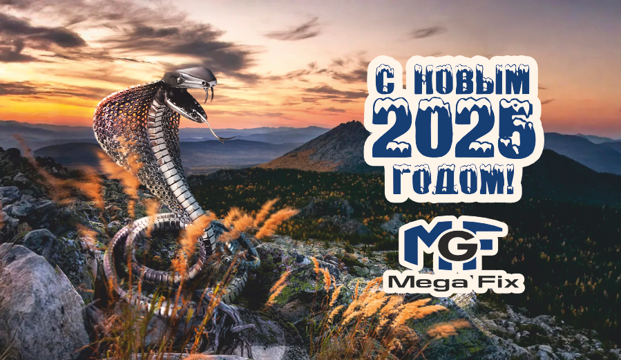 С новым 2025 годом